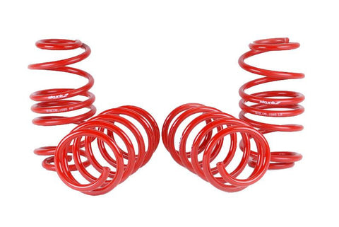 Skunk2 Lowering Springs