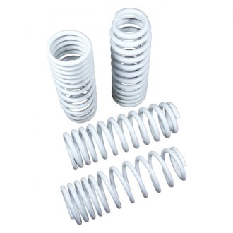 TruHart Lowering Springs